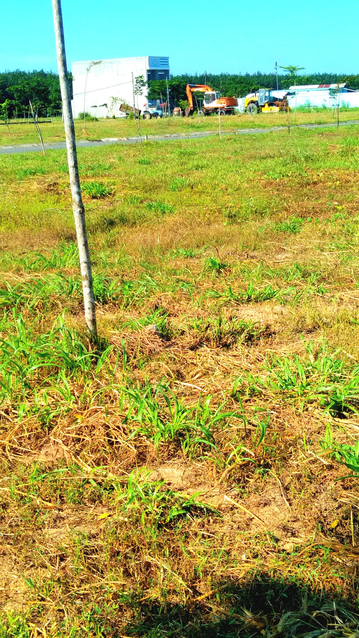 CẦN BÁN GẤP LÔ ĐẤT 95M CHỈ 860 TRIỆU . FUIL THỔ CƯ