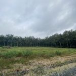  250m2 - 4
