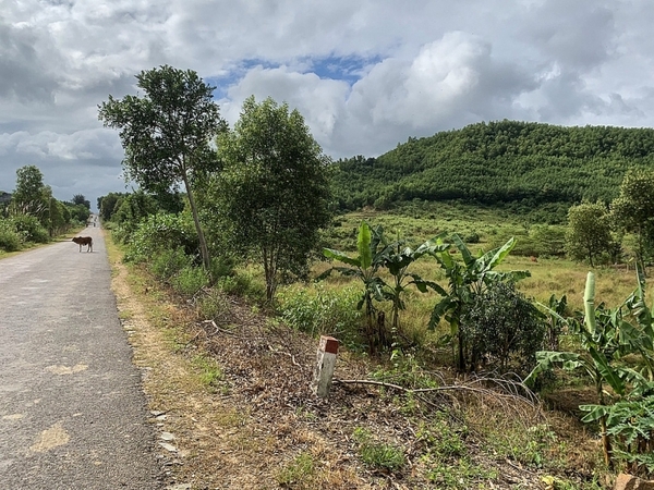 Tong-hop-thong-tin-ban-dat-Ninh-Hoa-Khanh-Hoa-5