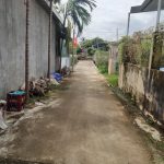 250m2