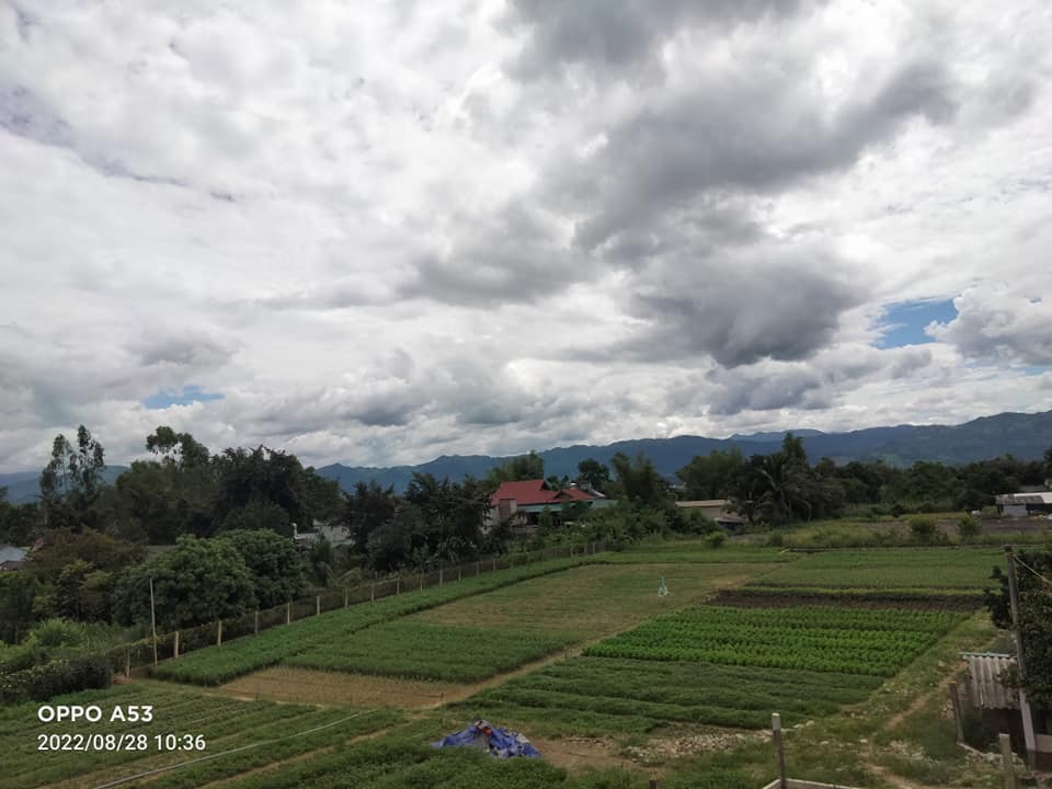 Cần bán đất tại bản Pết (đội 7) Thanh Hưng, huyện Điện Biên