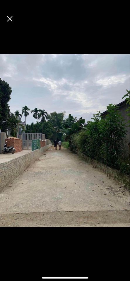 Bán đất tại đội 5 bản Bom La, xã Thanh Xương, huyện Điện Biên.