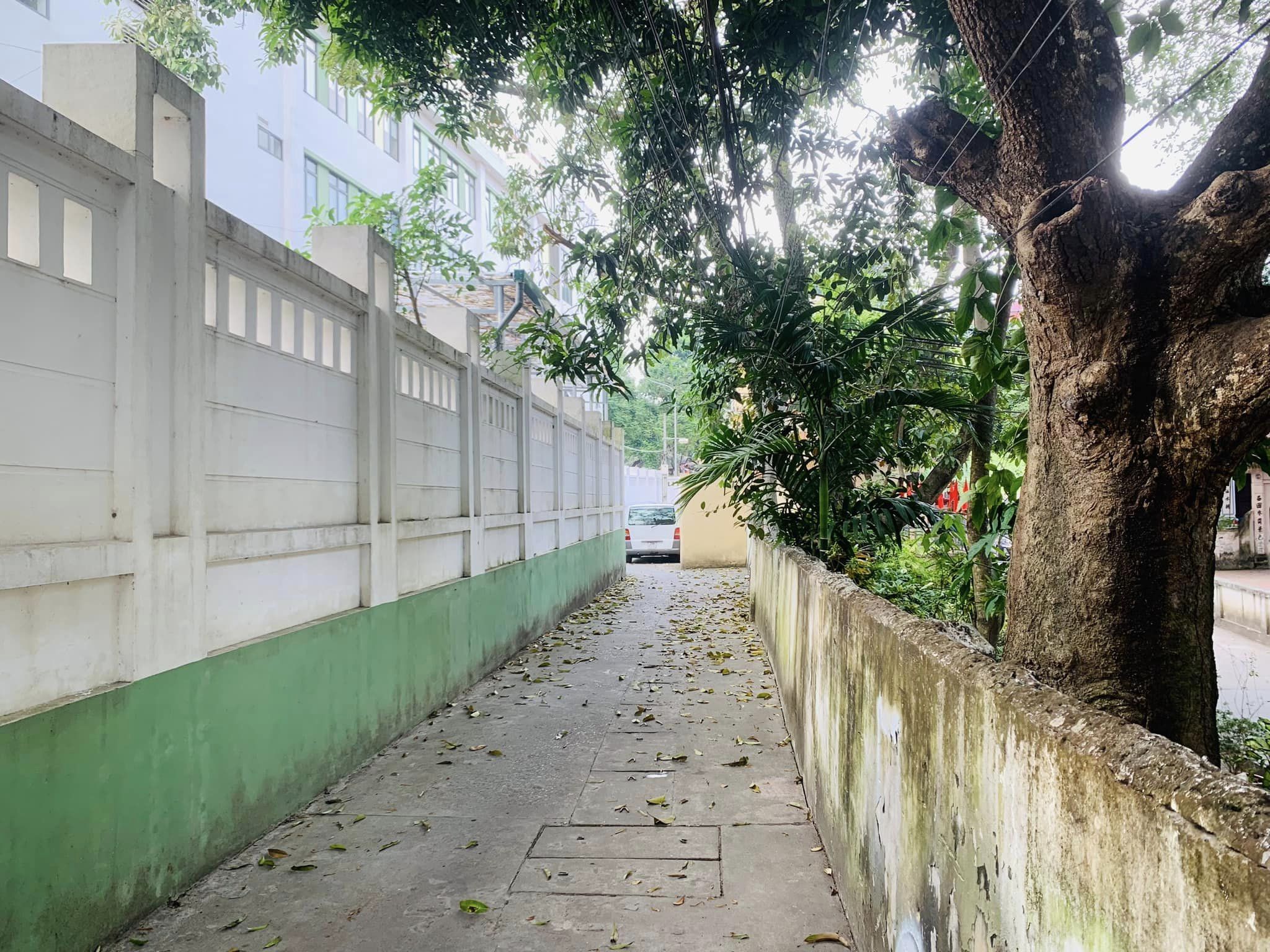 BÁN NHÀ ĐỘI CẤN 7,8 TỶ 70M2 2,5T MT 4.1M GẦN PHỐ- OTO VÀO NHÀ- AN NINH TỐT-ĐI LẠI THUẬN LỢI