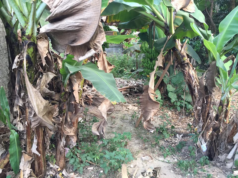 Bán mảnh đất trong tổ 5 Nam Thanh, thành phố Điện Biên Phủ