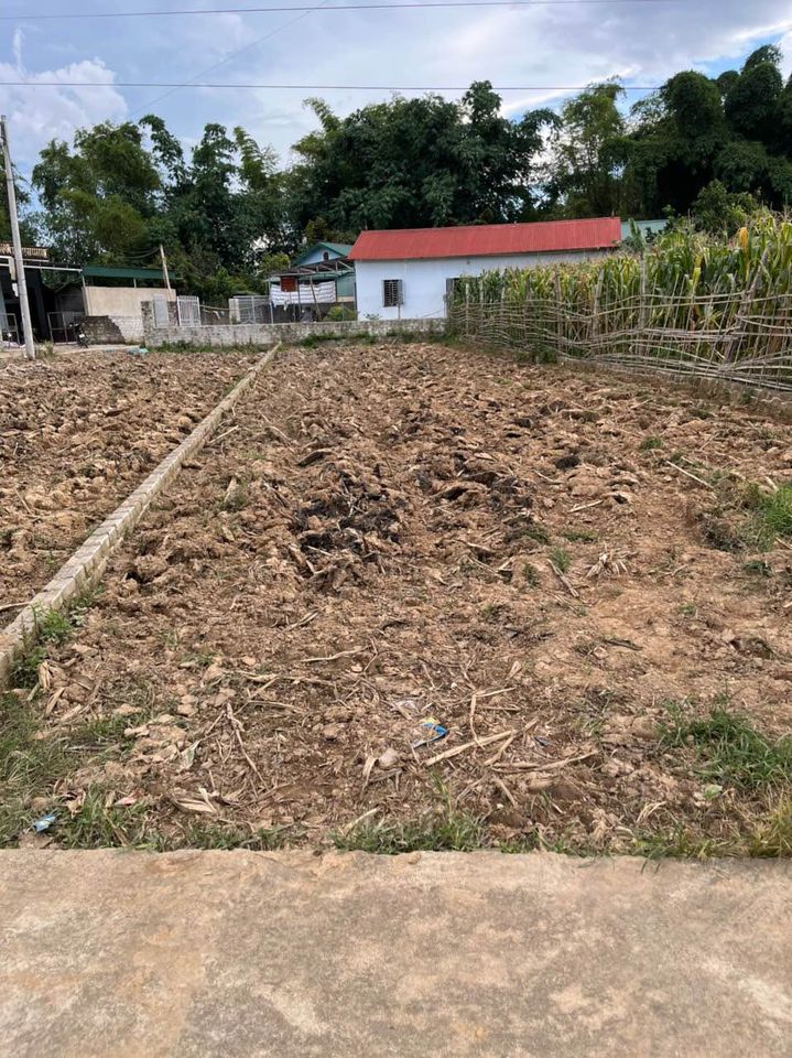 Bán đất tại đội 14, xã Thanh Chăn, huyện Điện Biên