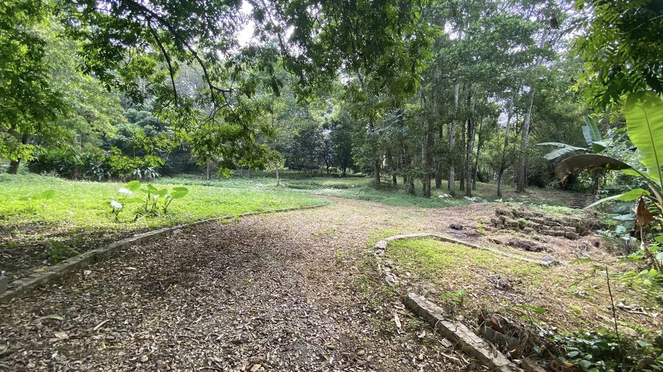 BÁN ĐẤT LƯƠNG SƠN HÒA BÌNH DT 8800M GIÁ RẺ NHẤT