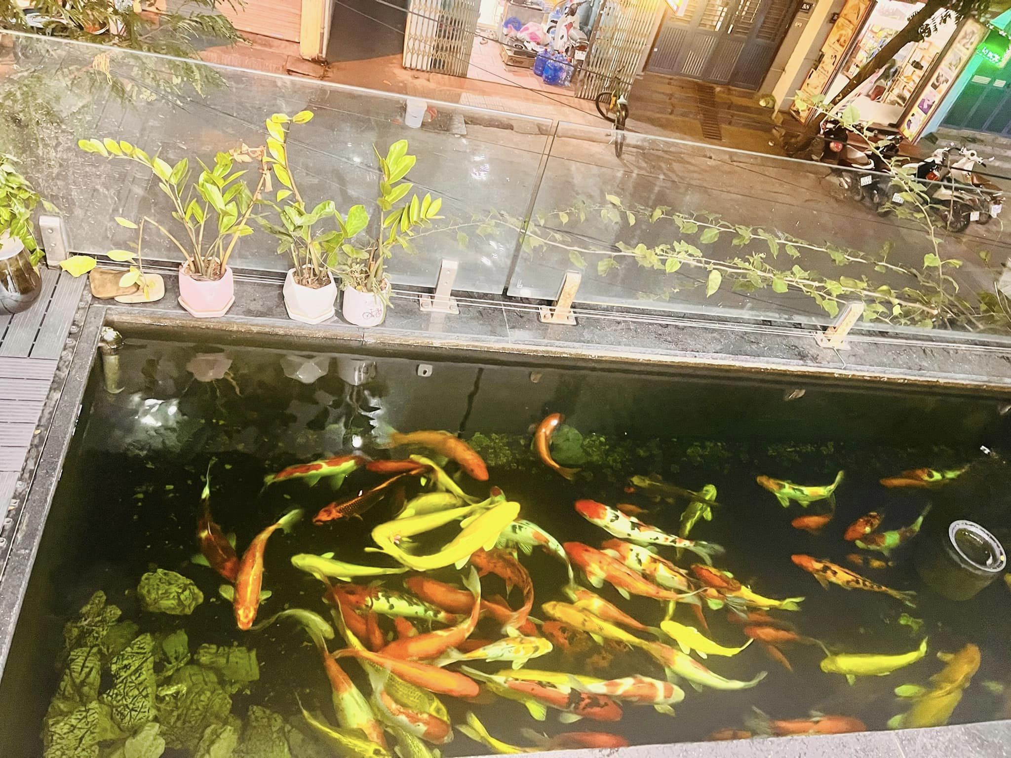 Văn quán 88m 6 tầng ô tô tránh, vỉa hè xem là mê, quá đẳng cấp, quá hưởng thụ Ngày đăng