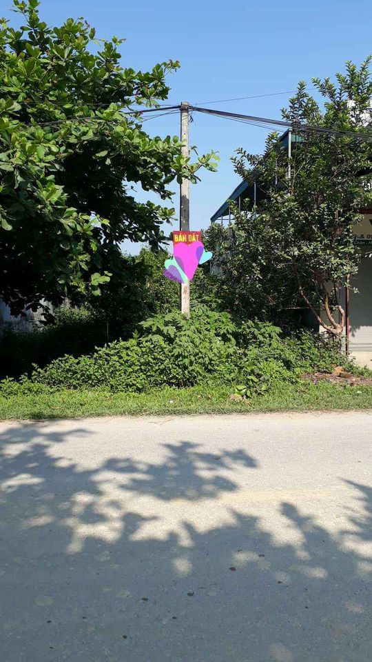 Bán đất khu cây xăng c17, xã Thanh Xương, huyện Điện Biên