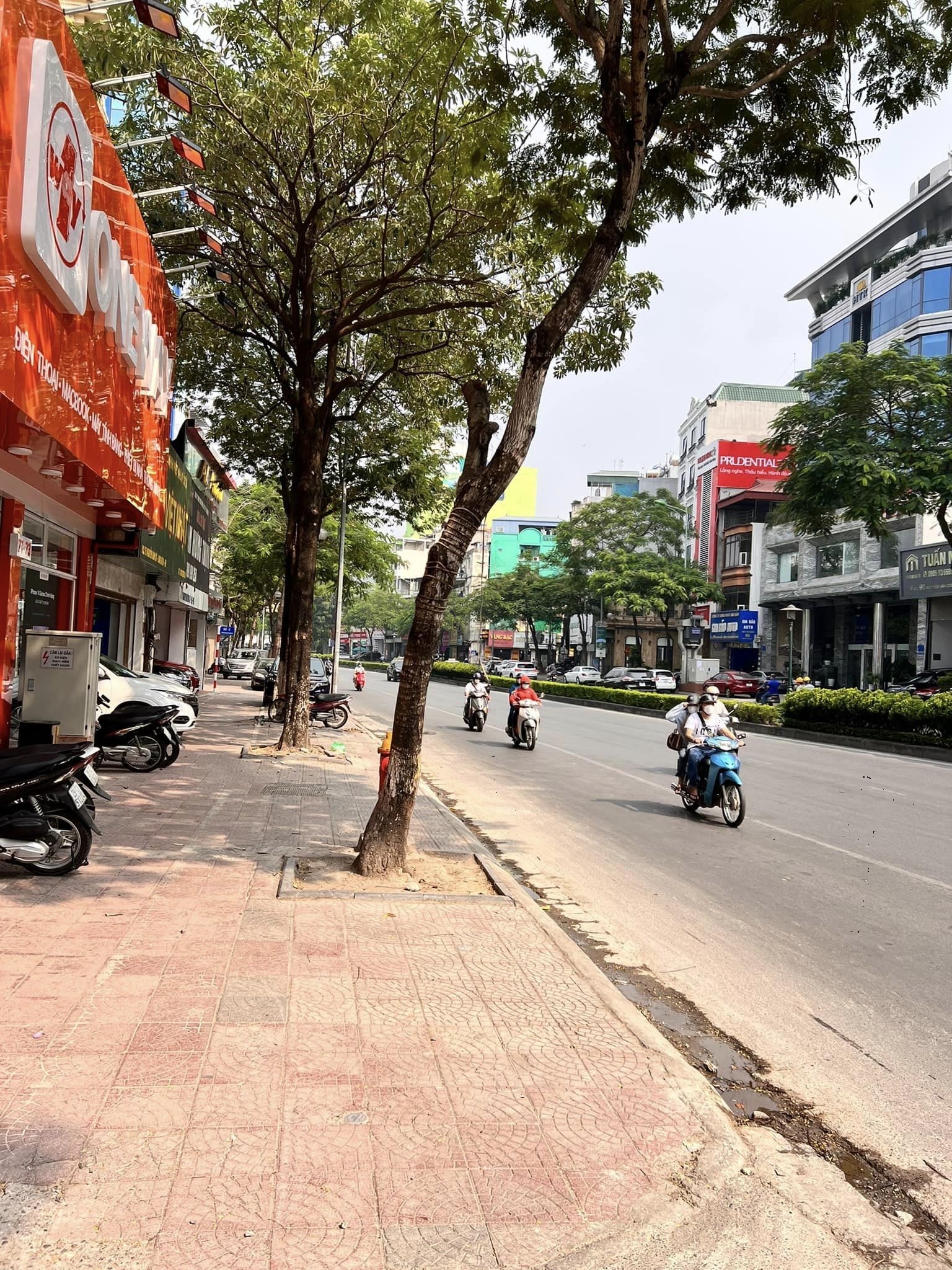 Biệt thự sân vườn trung tâm quận Long Biên 125m2, MT 9m, 3 thoáng, ô tô tránh đỗ, chờ thang máy