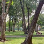  1200m2 - 1