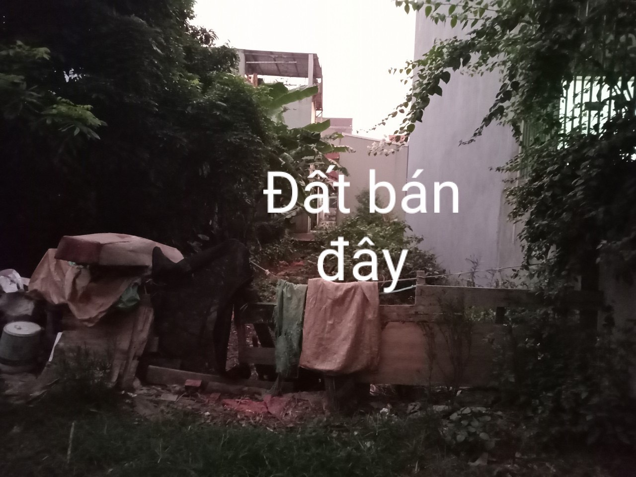 BÁN NHANH 73M ĐẤY SIÊU ĐẸP HÒA BÌNH, YÊN NGHĨANGÕ THÔNG TỨ TUNG, Ô TÔ TẬN ĐẤT