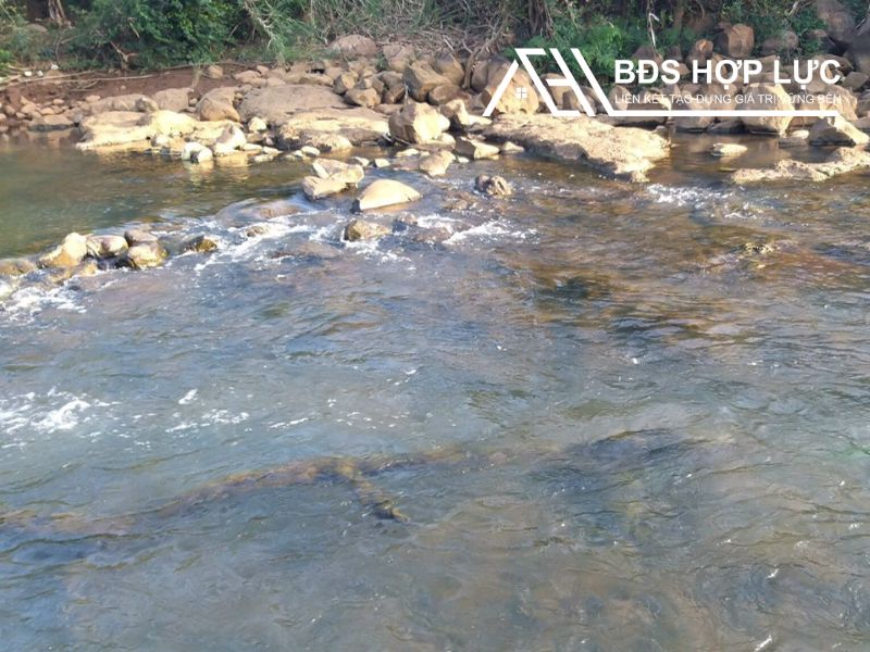 đất rẫy quảng thành gia nghĩa đak nông