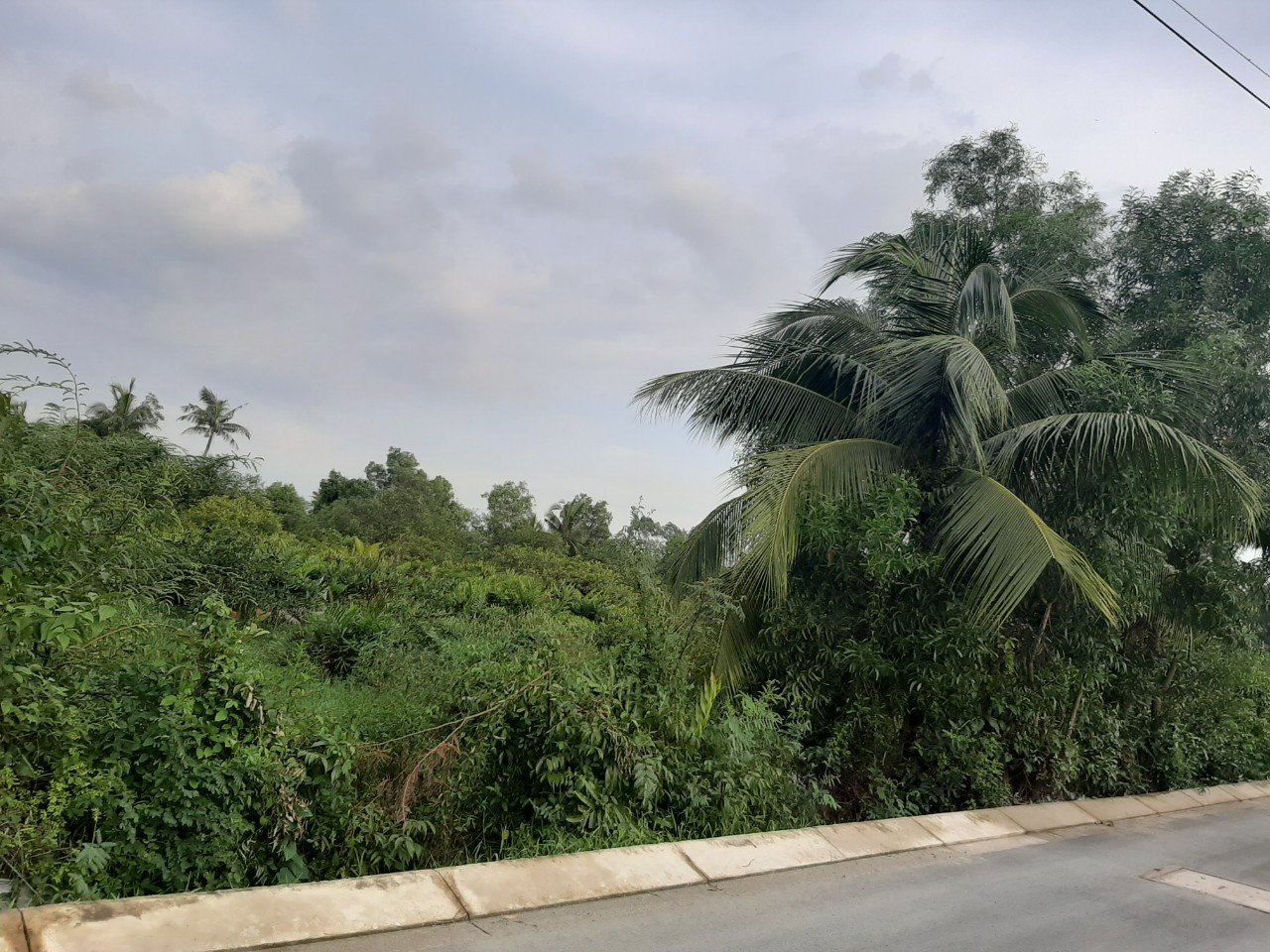 Nữ Thần Tự Do Bán Đất Long Phước Q9 7312m2 Chỉ 58 Tỷ Có Ngay 60 Căn Nhà Tại TP Thủ Đức