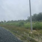  250m2 - 1