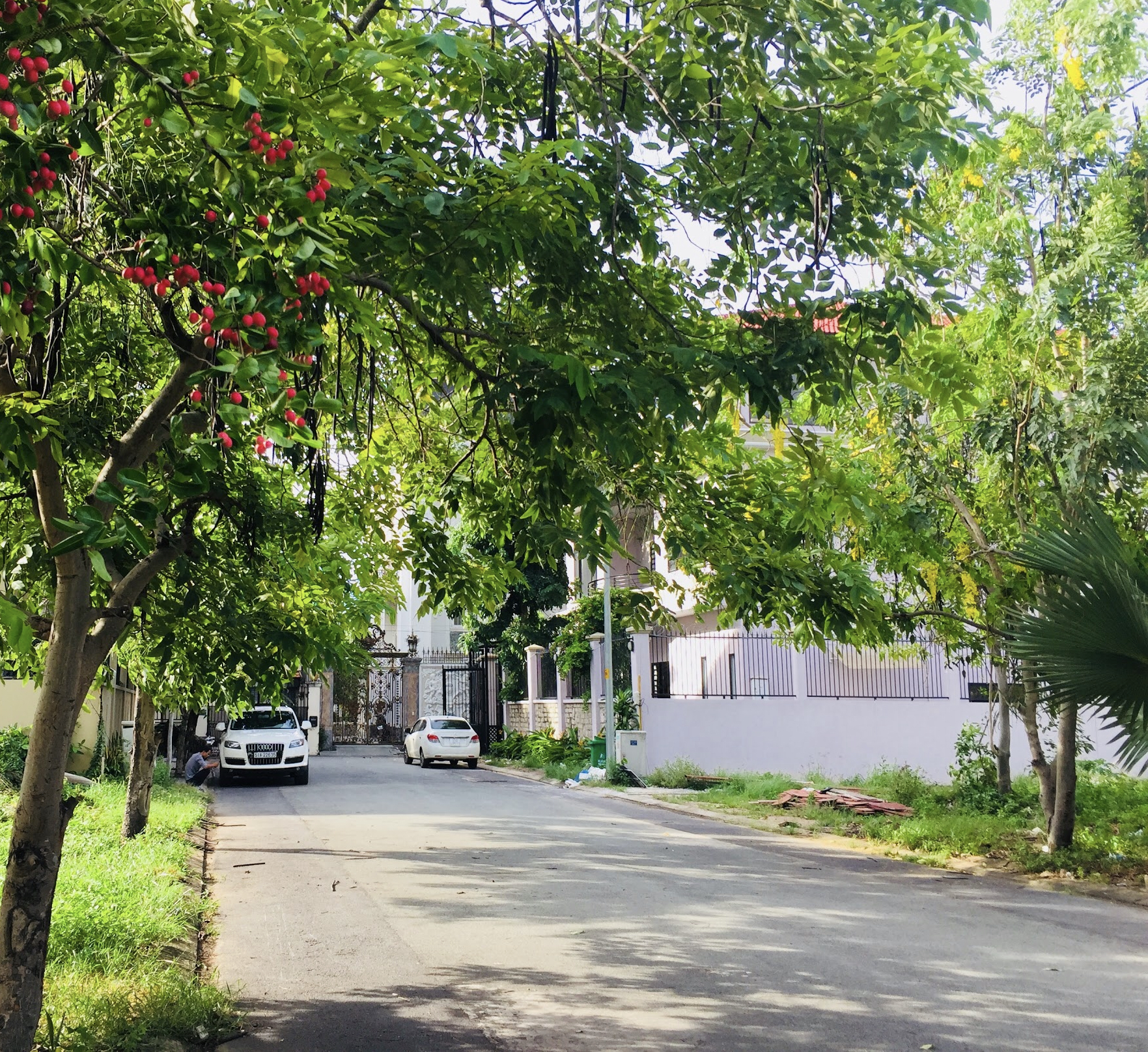 Cần bán gấp đất Đỗ Xuân Hợp, Quận 9, gần Lake View City , đường 12m, diện tích 80m2, sổ hồng riêng