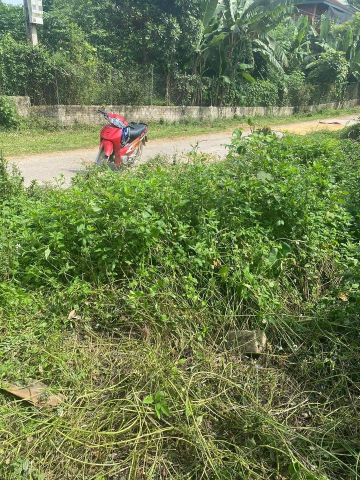 Em cần bán gấp mảnh đất tại Thanh Hưng, huyện Điện Biên