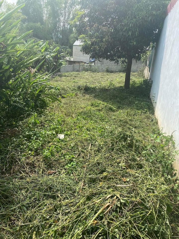 Bán đất tại đội 17, xã Thanh Xương, huyện Điện Biên, Điện Biên