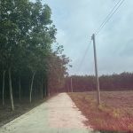  250m2 - 5
