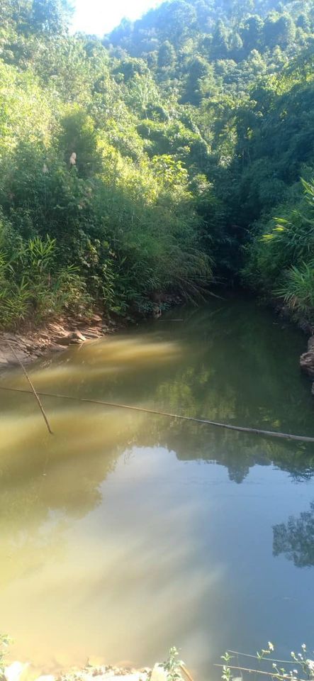 Bán đất trồng cây lâu năm tại bản Tọi Nọi, xã Ảng Tơ, huyện Mường Ẳng.