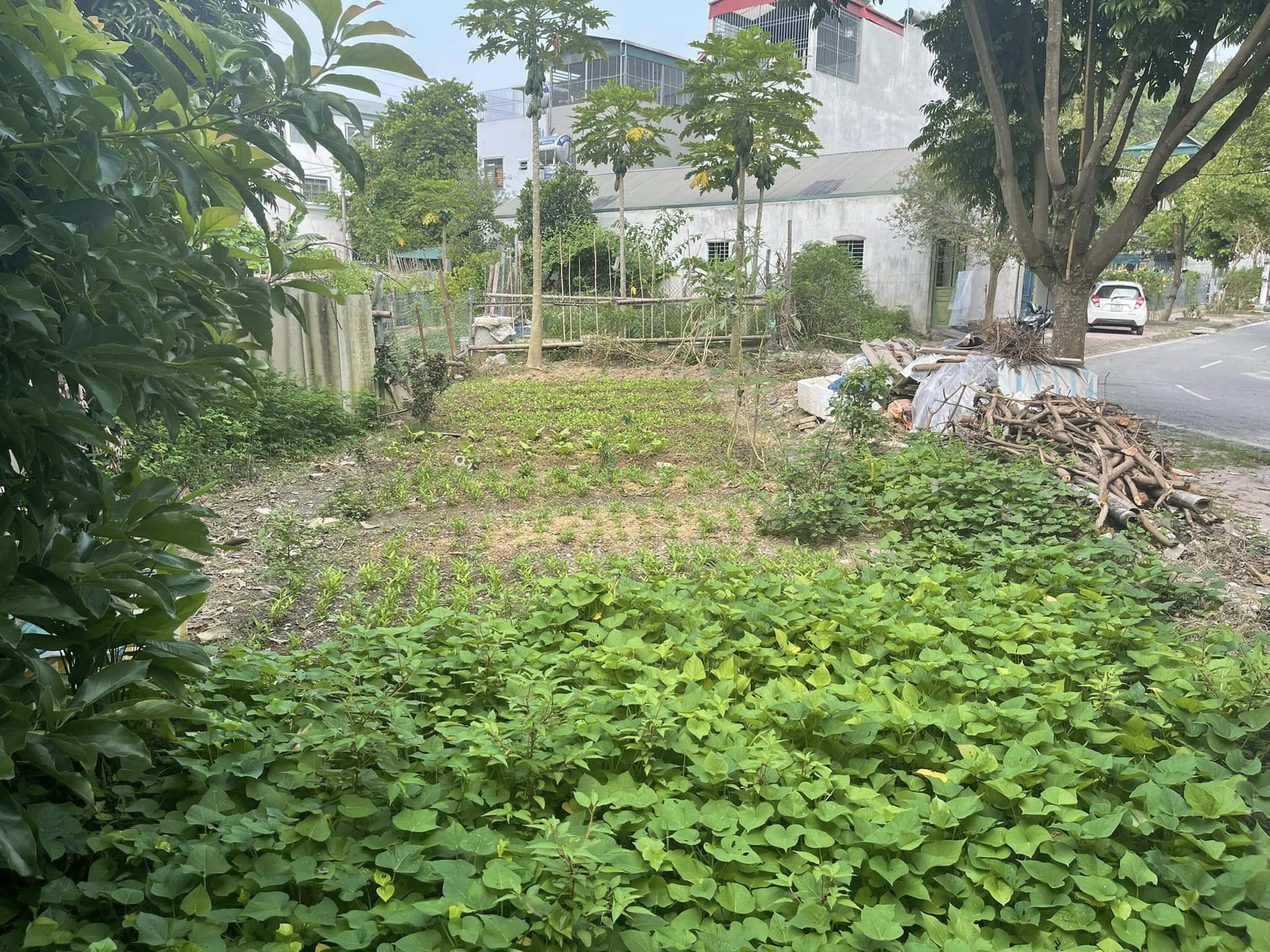 Bán mảnh đất gần chợ Noong Bua, phường Noong Bua.