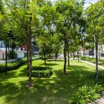  250m2 - 6
