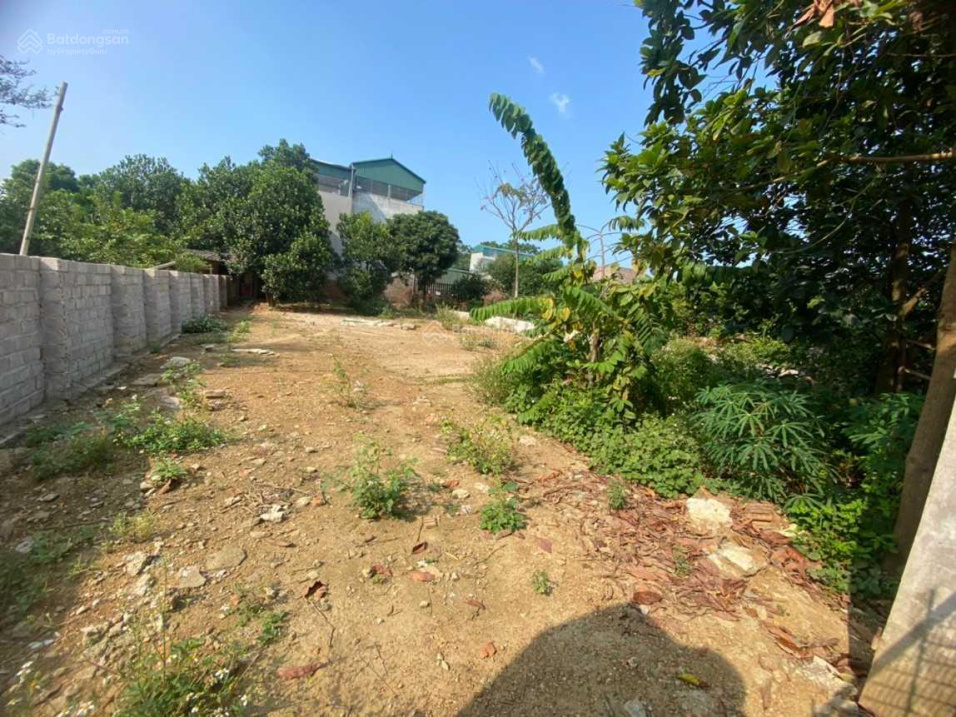 Bán gần 1000m2 đất nền thôn 1 Tân Xã, khu công nghệ cao Hòa Lạc, sát đại học FPT