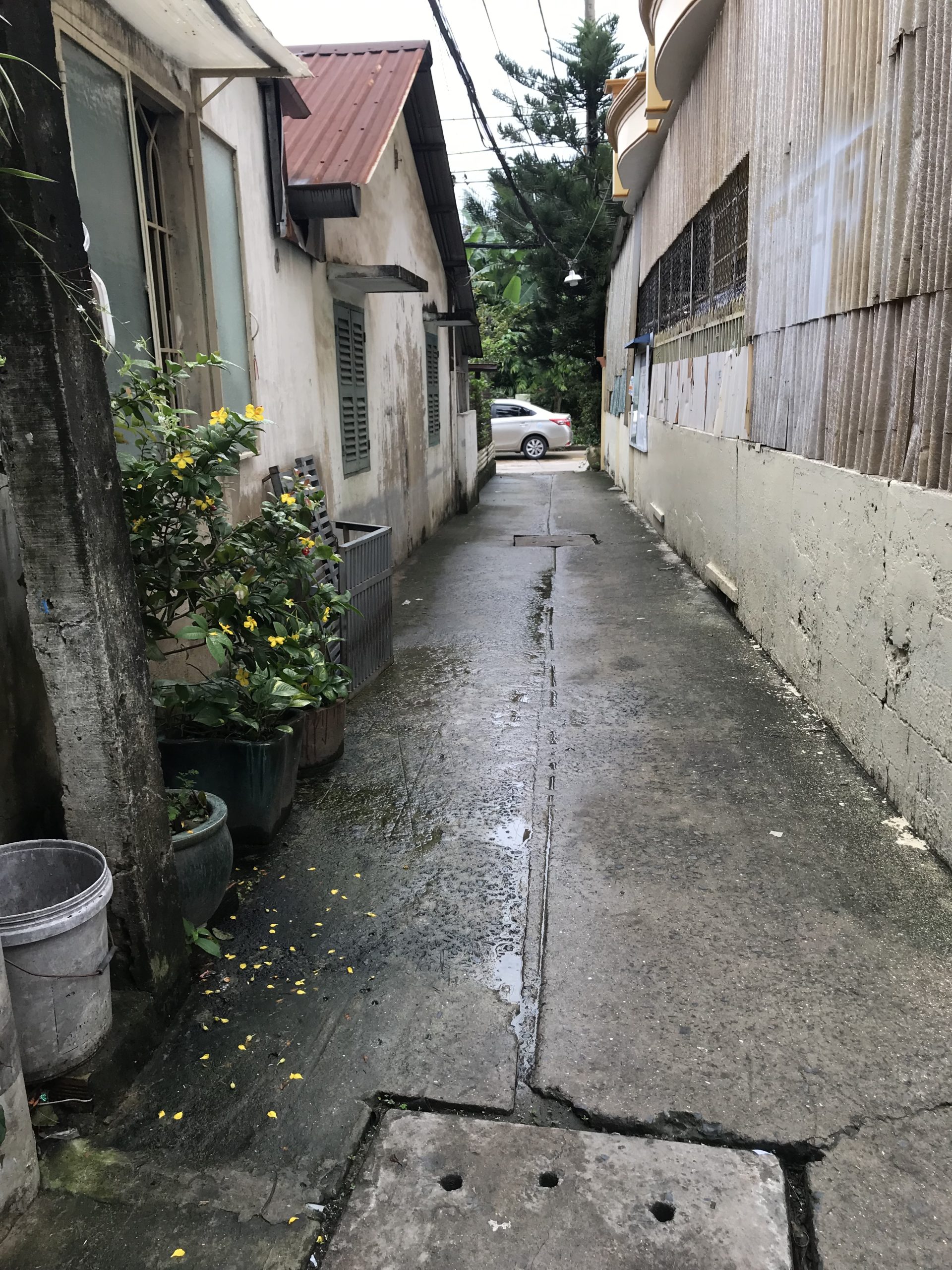 43m2