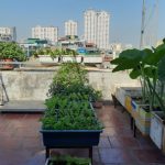  60m2 - 5