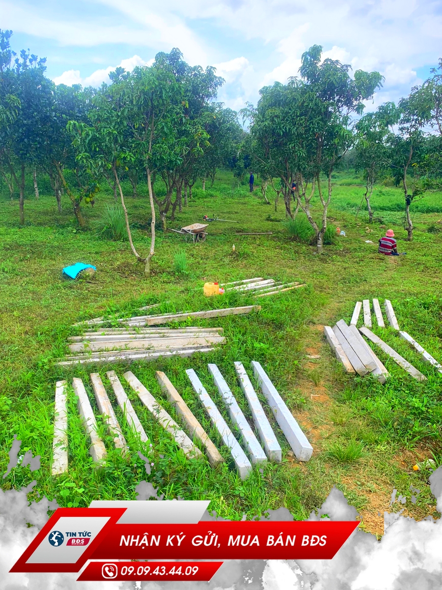 ĐỊNH QUÁN, VƯỜN CÓ AO VÀ SUỐI, ĐƯỜNG XE TẢI