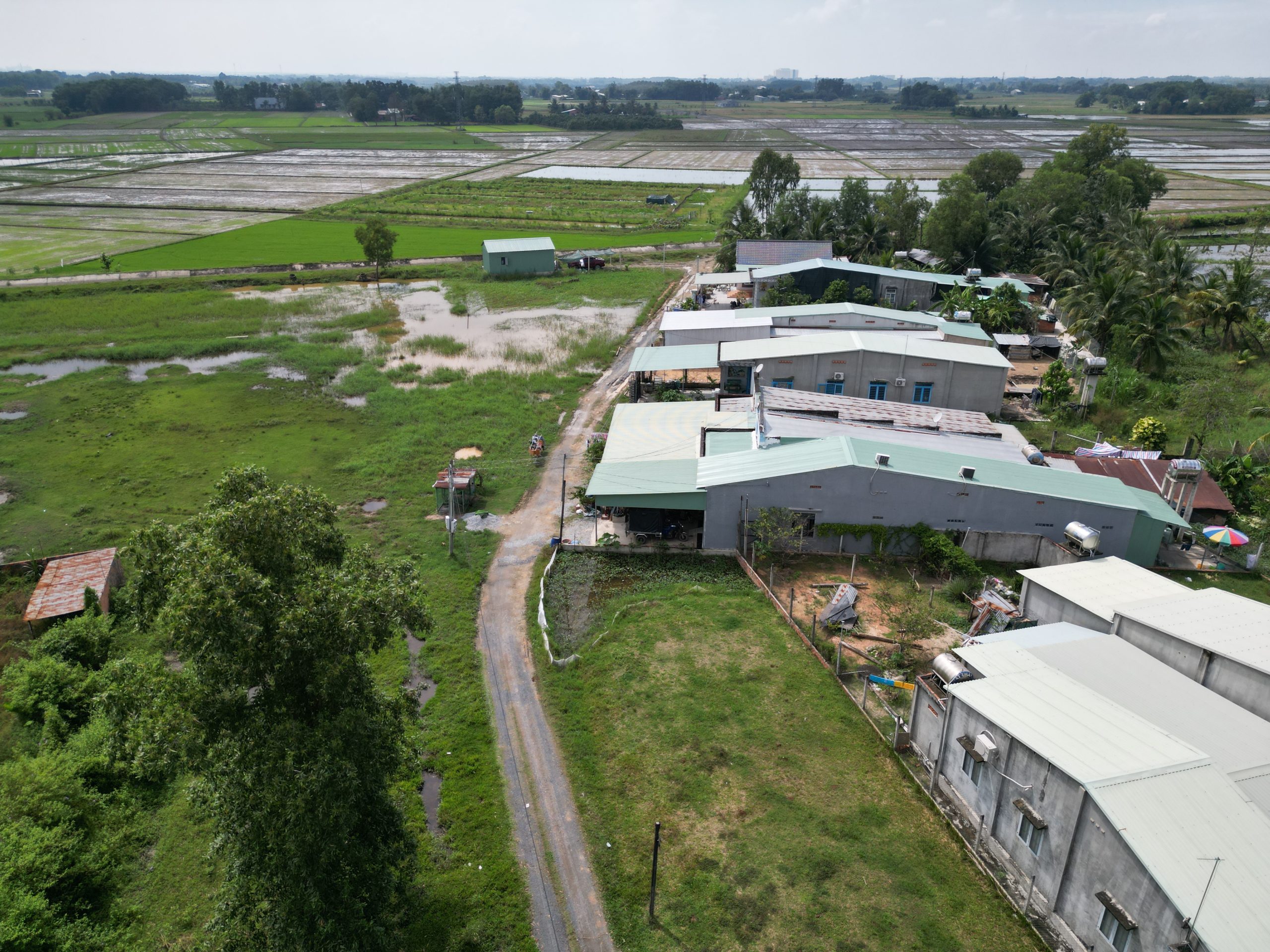 xóm Đồng Thanh Phước Gò Dầu Tây Ninh