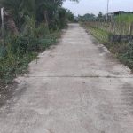  12000m2 - 3