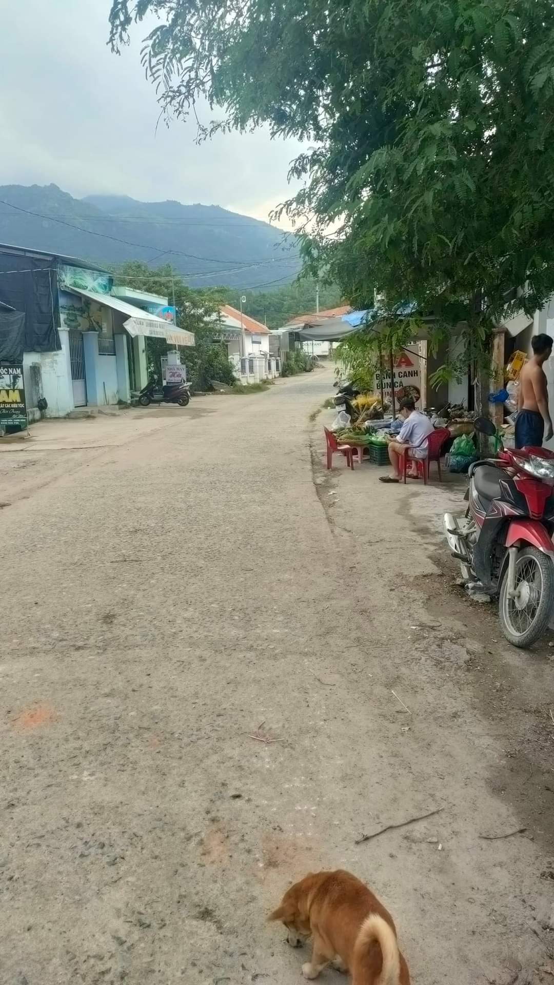 Đất mặt tiền đường tô ký xã Phước Đồng Nha Trang. Đường 9m.