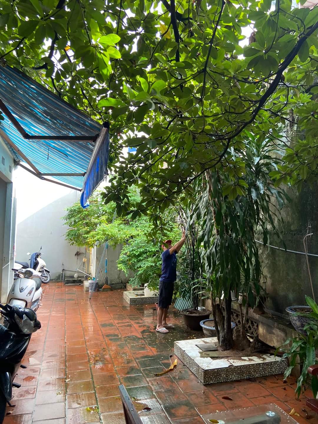 CỰC HÓT. CỰC HIẾM. NGÕ TO HƠN PHỐ. GIÁ CỰC RẺ CỰC ĐÃ