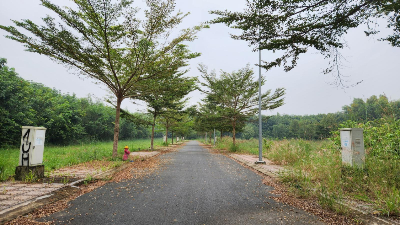 Hạ giá bán nhanh lô đất chính chủ nằm ngay mặt tiền Tỉnh Lộ 15, full thổ cư, giá 1 tỷ 4