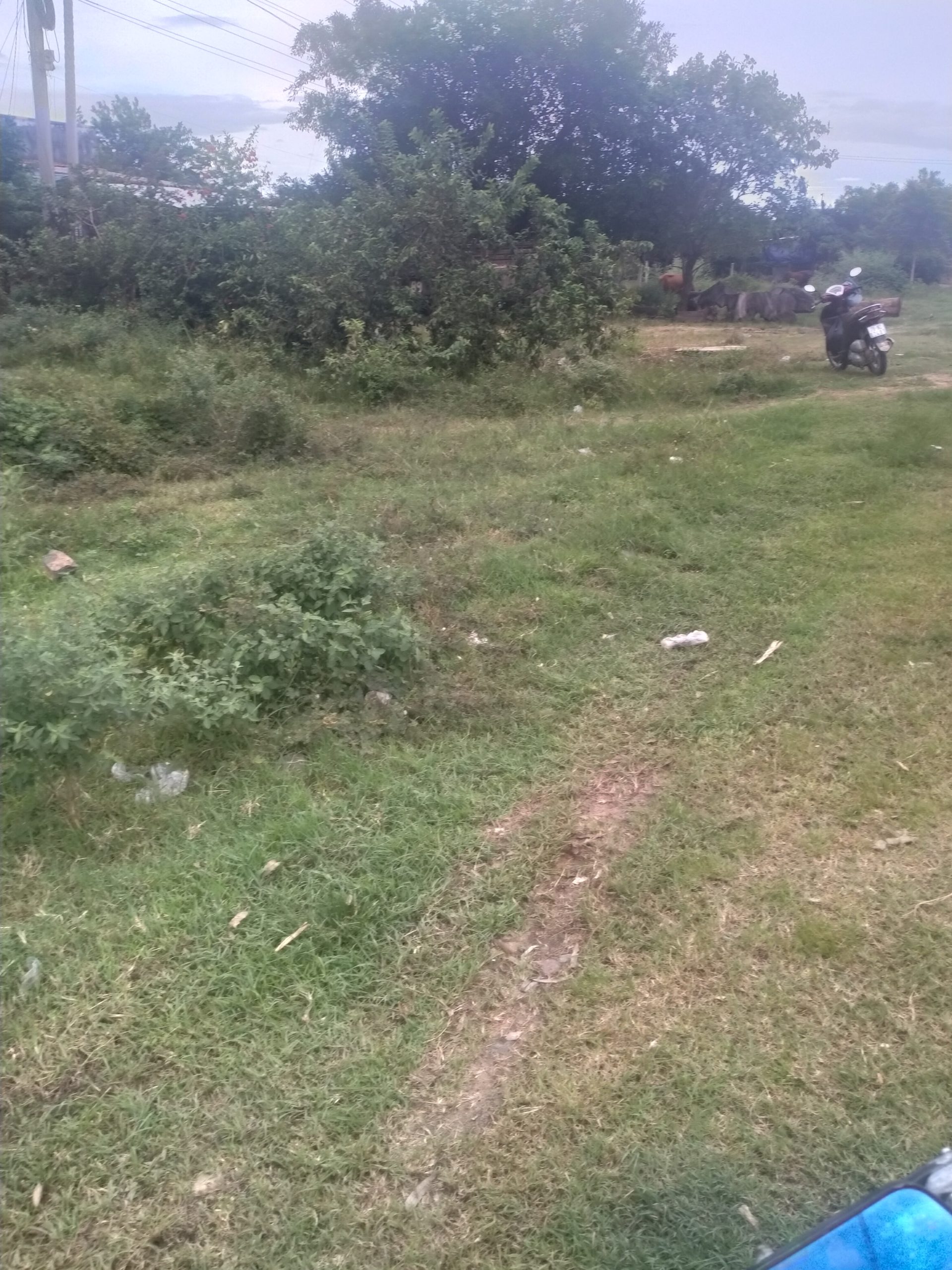 Đất nền Ninh Tây Ninh Hòa Khánh Hòa giá đầu tư