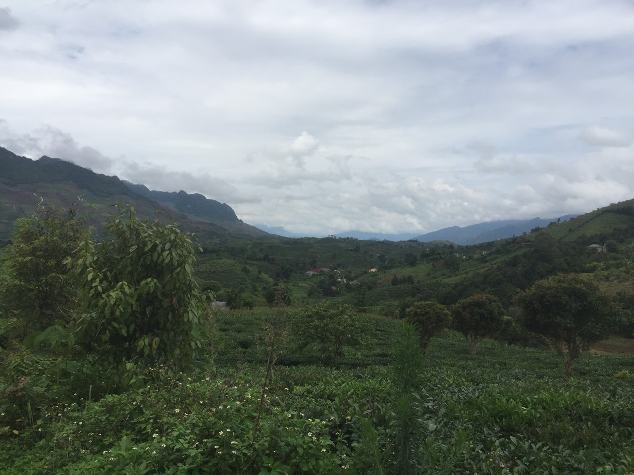 BÁN ĐẤT MỘC CHÂU VIEW ĐẸP GIÁ CHỈ 100 NGÀN/ M2