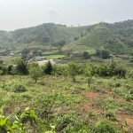  4430m2 - 4