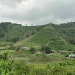  4430m2 - 7