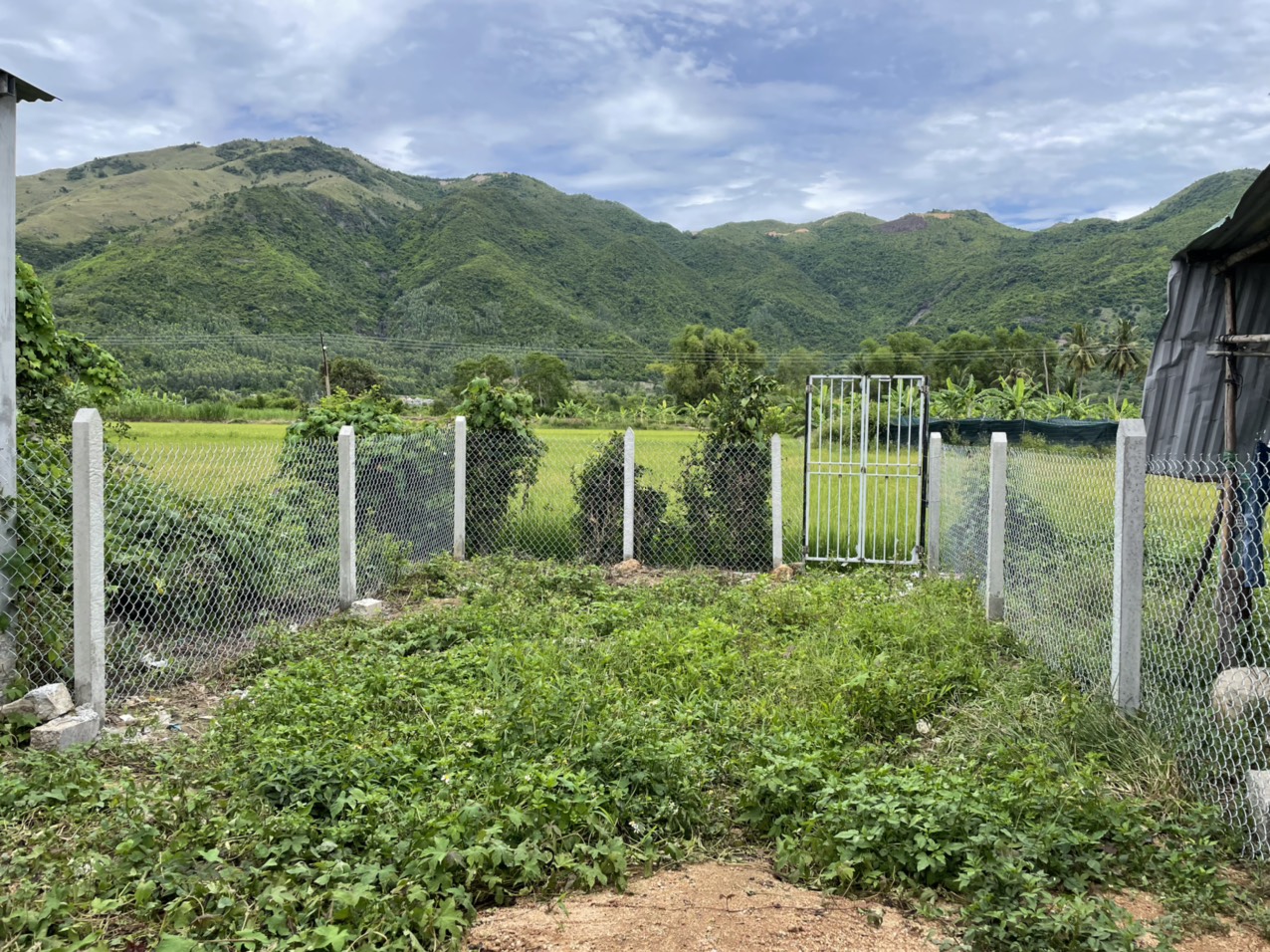 ĐẤT NỀN XÃ DIÊN AN, HUYỆN DIÊN KHÁNH ,TỈNH KHÁNH HÒA