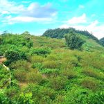  3000m2 - 1