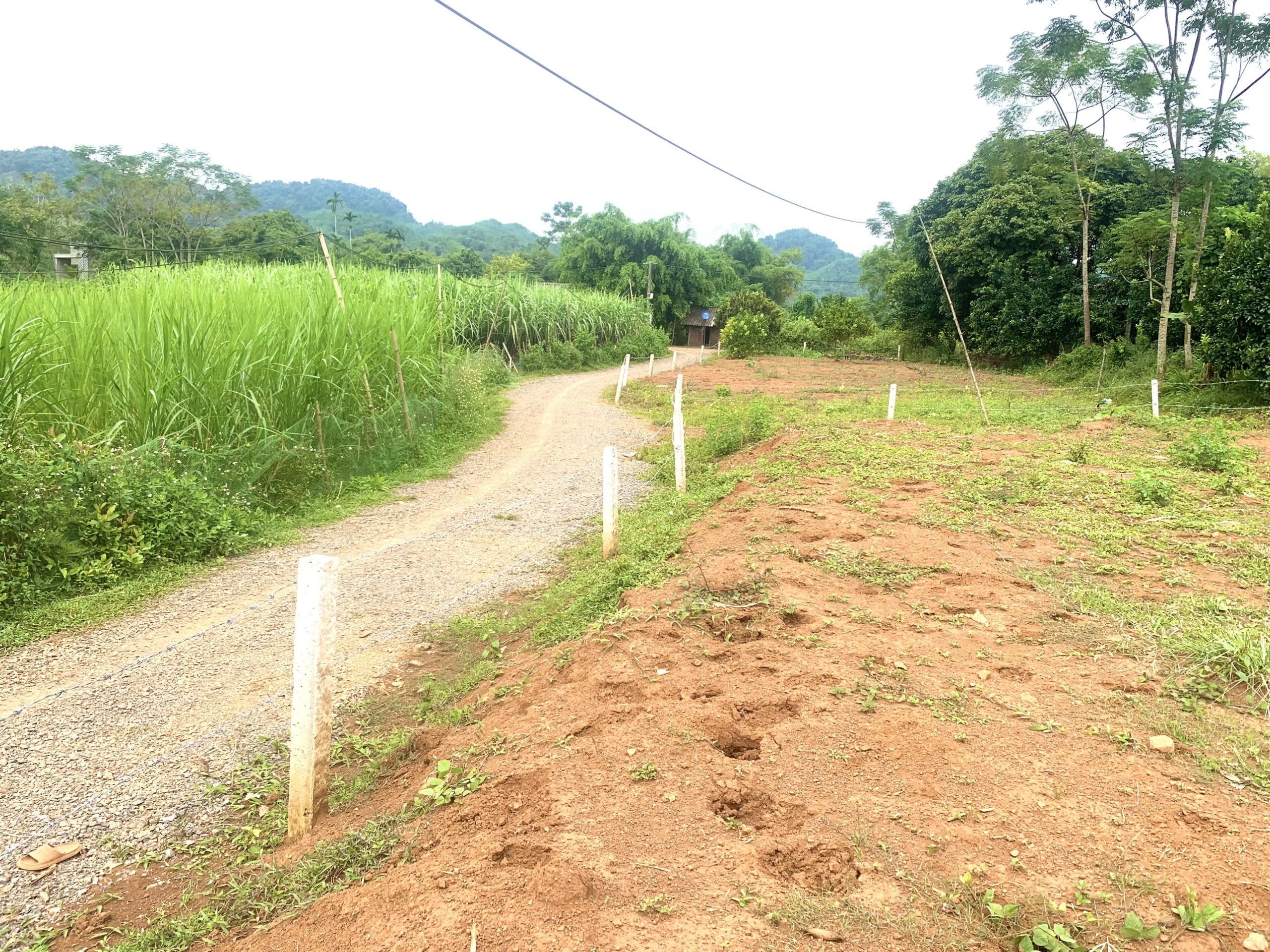 SIÊU PHẨM 2 MẶT TIỀN VIEWS CÁNH ĐỒNG GẦN 2000M MỸ HÒA TÂN LẠC HÒA BÌNH