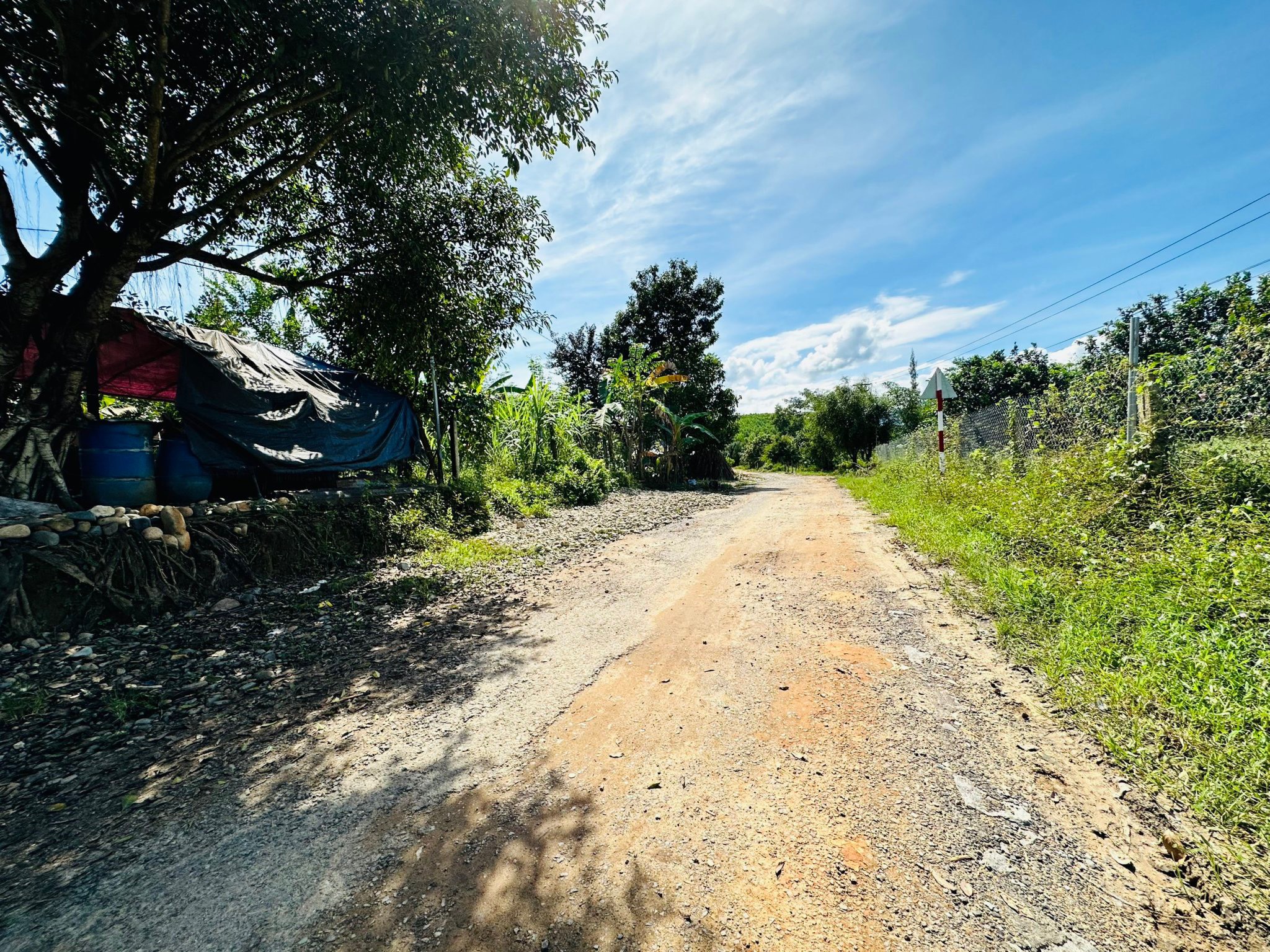 Giá cá ngộp oxi Đất nền Khánh Hòa - Chủ cần sang nhượng gấp