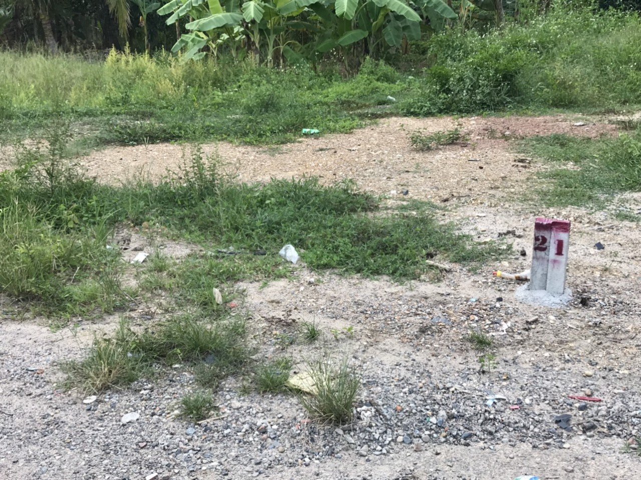 Giá cá ngộp oxi Đất nền Khánh Hòa - Chủ cần sang nhượng gấp