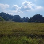  12000m2