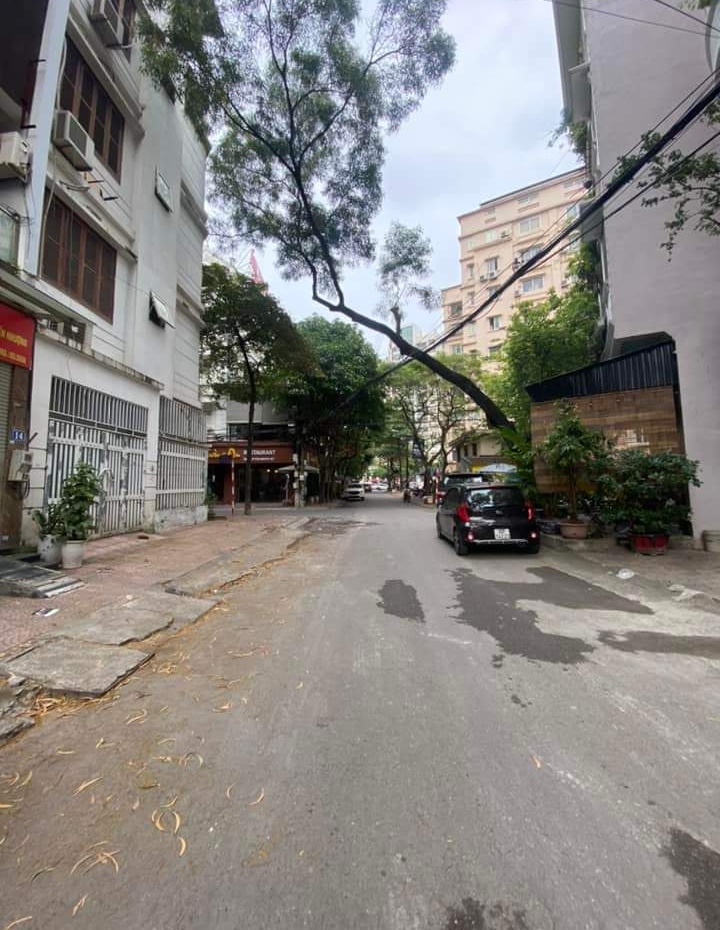 TRUNG KÍNH TO, VỈA HÈ, THANG MÁY, GARA, 3 Ô TÔ TRÁNH, KINH DOANH