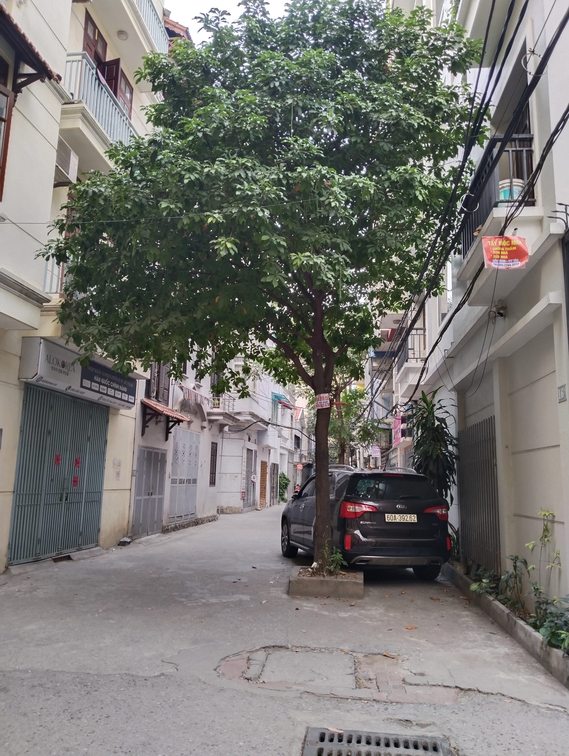 SIÊU PHẨM MAI DỊCH - PHÂN LÔ - ÔTÔ ĐỖ CỬA - NGÕ THÔNG TỨ PHÍA - KINH DOANH SẦM UẤT - DT 36M2X6T GIÁ