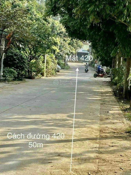 Lô góc sát TL420 gần ngã 3 chợ Hòa Lạc, giá cực rẻ