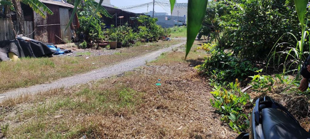 Chính chủ cần bán đất tại Đường số 5, khu dân cư Toàn Gia Thịnh, xã Đức Hoà Hạ, Long An