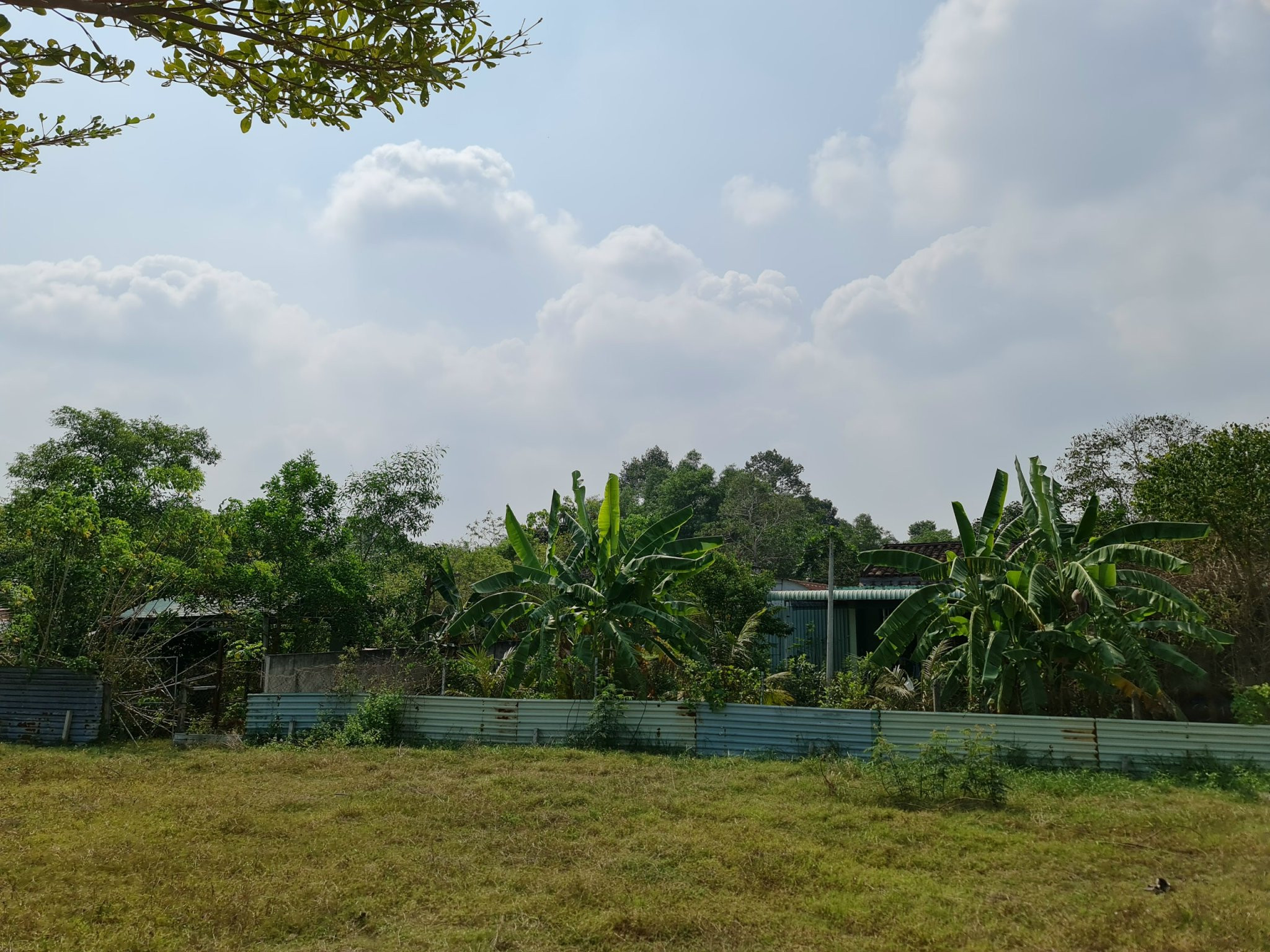 Chính Chủ Cần Bán Nhà + Đất Ở Xã Tân An Hội - Huyện Củ Chi - TP Hồ Chí Minh