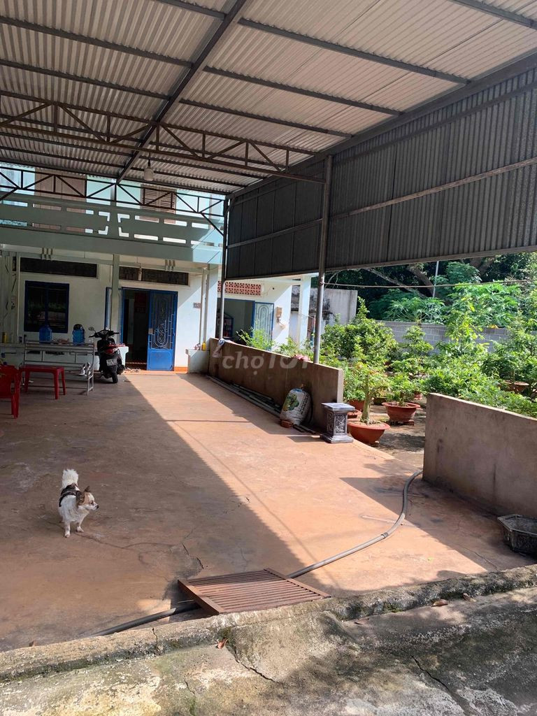 Chính chủ Cần bán đất có sẵn nhà cấp 4, Xã Quang Trung, Huyện Thống Nhất, Đồng Nai